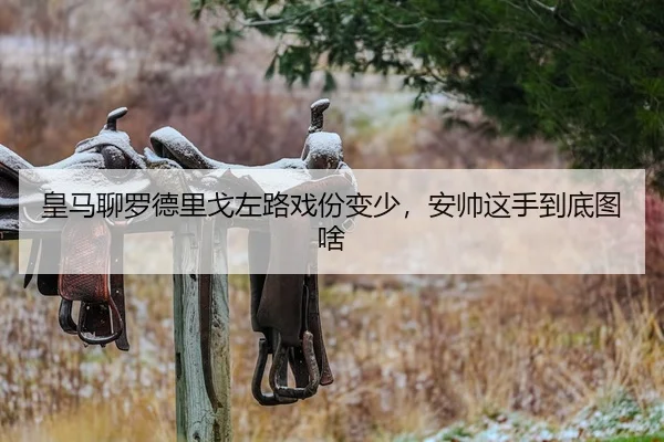 huang-ma-liao-luo-de-li-ge-zuo-lu-xi-fen-bian-shao-an-shuai-zhe-shou-dao-di-tu-sha-2-868.jpg