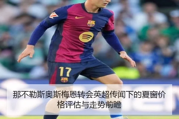 那不勒斯奥斯梅恩转会英超传闻下的夏窗价格评估与走势前瞻